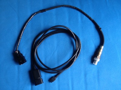 image1.JPG