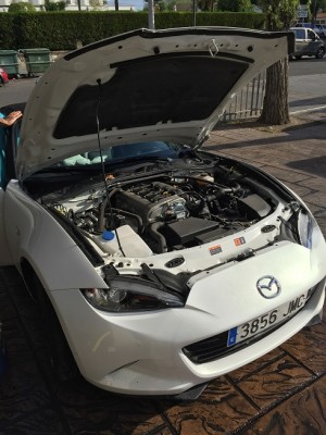 Motor.jpg