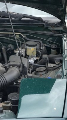 78488566.jpg