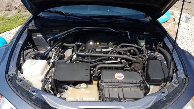 20180729_124309.jpg